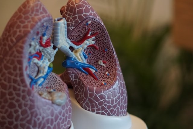 Pulmonology